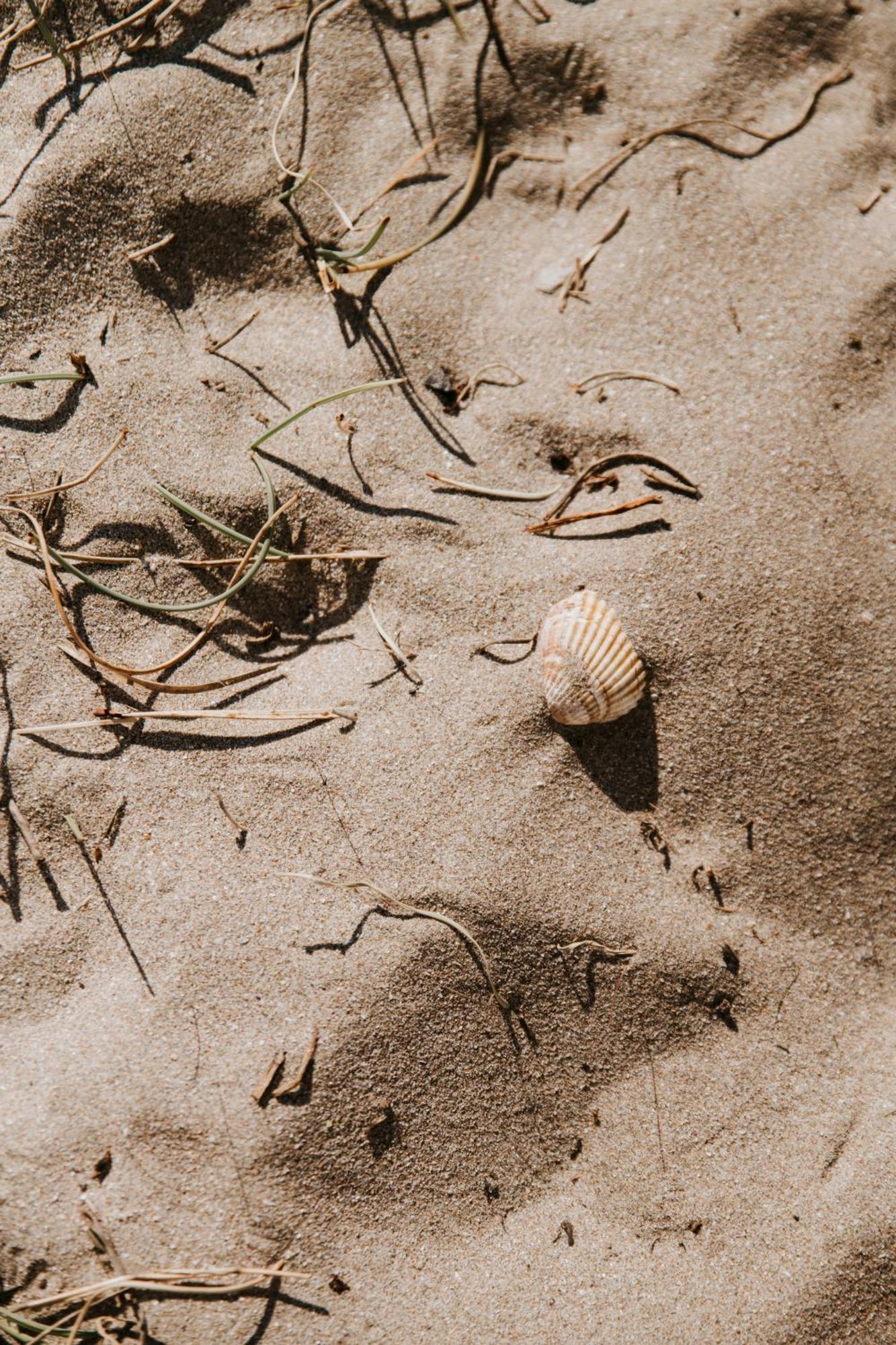 Mas Andalou Fabuleuse première ligne de mer, plage privative Frontignan Extérieur photo